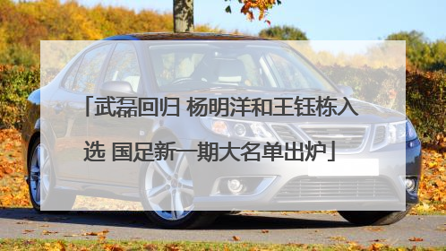 武磊回归 杨明洋和王钰栋入选 国足新一期大名单出炉